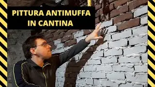 PITTURA ALLA CALCE - ANTIMUFFA - IN CANTINA!