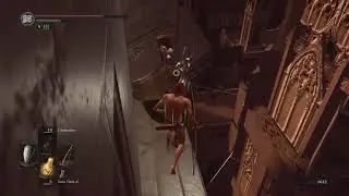 Dark Souls silver knight shield push