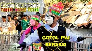 Kesenian Reog Indramayu Reog Tandi Macan Putra | Show Sukasari Dongkal Arahan Indramayu