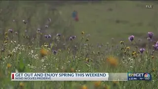Spring Nature Festival takes place at Wind Wolves Preserve this weekend