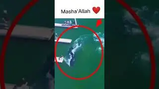 Masha'Allah ❤️ #miraclesofAllah #shorts #shortsfeed #viral