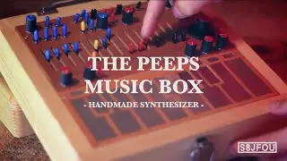 The Peeps Music Box / Handmade synthesizer.