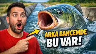 😱 Herkes arka bah&ccedil;esinde kedi k&ouml;pek besler. 🐟 Peki ben ne besliyorum dersiniz?