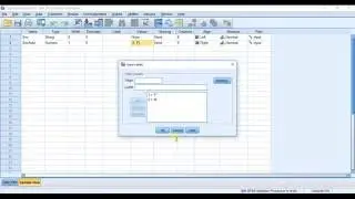SPSSisFun: Converting Text (string) data to Numeric data