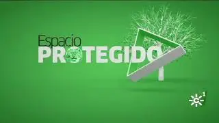 Espacio Protegido en Grazalema febrero 2021
