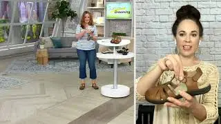 Earth Origins Leather T-Strap Closed -Toe Sandals - Sierra on QVC