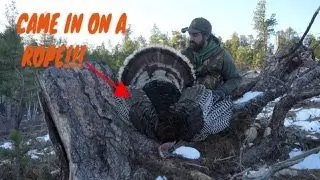 HE CAME IN ON A ROPE!!! Hot Tent Turkey Hunting Part 1