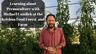 Learning about Permaculture with Michael Cundick at the Krishna Food Forest and Farm
