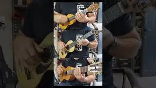 Thunderstruck - AC/DC - *BRVA Cover* #shorts #shorts #music #ukulele #guitar #musica