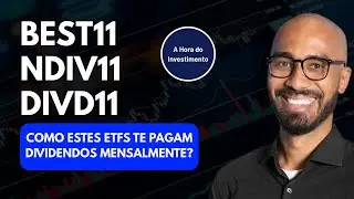BEST11, NDIV11 E DIVD11: COMO ESTES ETFS PAGAM DIVIDENDOS MENSAIS?