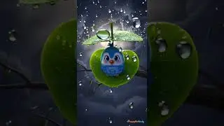 Peppy and the Rainbow 🌈 | Cute Bird #Rhyme for Kids