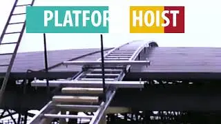 Platform hoist