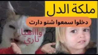 خديت اللقب من ملكة الدل دخلو دخلو دفلو عليا و ستافدو وضحكو🤣🤣🤣🦮🦮🦮(حكايات زينب – Hikayat Zeynep)