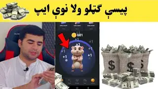 How to earn money from hamster kombat