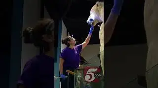 Science Museum of Minnesota exhibit cleaning