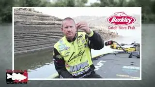 Berkley Power Worm 10