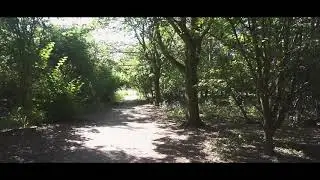 Barnwell country park