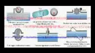 Omkar Walambe New Animation For Vortex Flowmeter