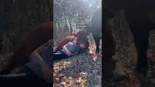 Cow Heals Grieving Woman 😔 #animal #animalrescue #cow