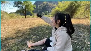 สาวลาวเข้า ป่าหาไข่มดแดง สาวลาวเกือบไม่ไหว ไปโดน￼หมามุ่ย ￼