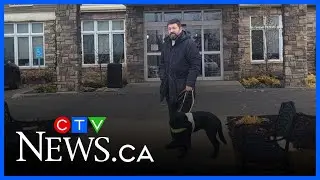 Blind man refused entry to hotel in Quebec because of guide dog