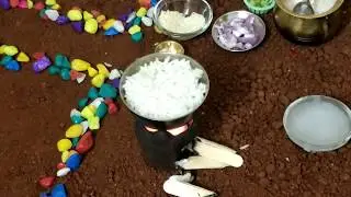 Miniature Veg Fride Rice | Mini Cooking | Tiny Recipes | Mini Food | veg fride rice