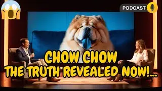 CHOW CHOW SECRETS: FUN FACTS AND TIPS YOU CAN'T MISS!