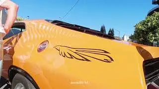 Coolys rocks ford coupes Sunday