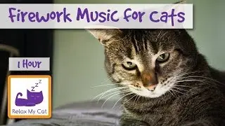 Music for Cats Scared of Bonfire Night and Fireworks - Relaxing Soothing Music for Cats