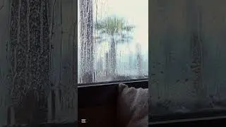 Rain on Window for Deep Sleep | Relaxing Rain Sounds (1 Hour)