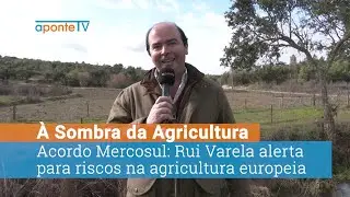 Rui Varela reage ao acordo Mercosul: &lsquo;Consumidores ficam desprotegidos&rsquo;