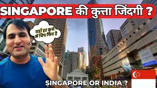 Delhi Dog Protests vs Singapore Laws 🐕 | Supreme Court Dog Removal Order Explained