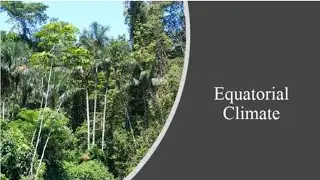 Equatorial Climate | Equatorial Climate | Igloo Sir #equatorial #climate