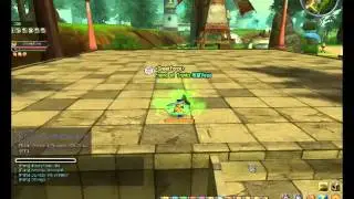 DBO SwordMan Build