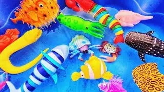 Изучите названия и факты о морских животных для малышей: рыба-клоун, рак-отшельник, каракатица, осьминог, угорь.