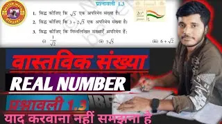 maths class 10 chapter 1 exercise 1.3 | class 10 new book maths chapter 1 exercise 1.3 |10thclass1.3