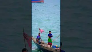 Livelihood of Fisherman #shorts #viral #youtubeshorts