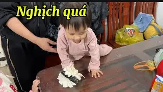 Bơ Với Búp Ngày Đánh Nhau Chục Lần ..!!!