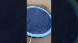Non Slip Splash Pad For Kids And Pet Dog #onlineshopping #tiktokmademebuyit #youtubeshorts #trending