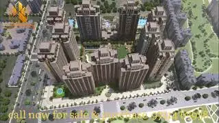 ACE PARKWAY/ SALES & PURCHASE