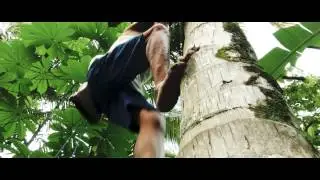Organic Coconut Sugar by Divine Spices