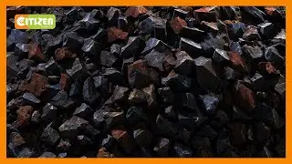 Mineral rights board cautions against iron ore export ban