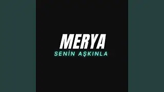 Senin Aşkınla