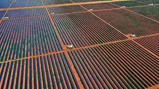Sun Cable approved to export solar power to Singapore