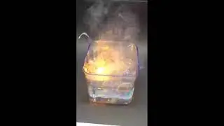 Reaction of active metals(sodium+potassium) with water