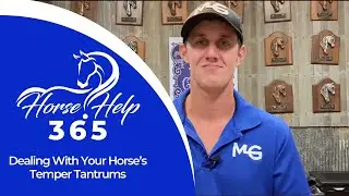 Dealing With Your Horse’s Temper Tantrums | Horse Help - Michael Gascon