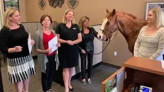 Horsing Around with the April Schaffroth Farmers Agency