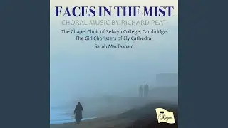 Faces in the Mist: II. Vanished