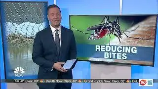 What&rsquo;s the buzz: Snowmelt puddles may impact mosquitoes this spring
