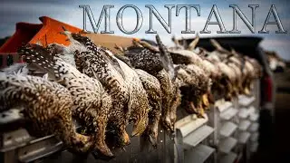 Монтана 2023 Sharptails, Huns and Diccupines | Финальный эпизод